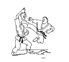 ������ � ���� - www.karate.by