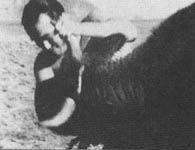 Бой с быком Масутаци Оямы - www.karate.by Бой с быком Масутаци Оямы - www.karate.by