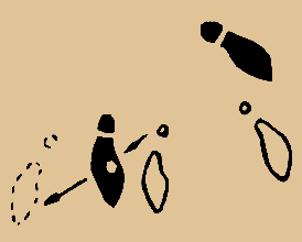 ������ � ������ - www.karate.by